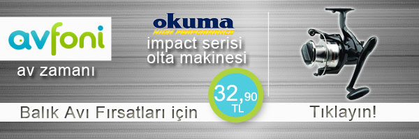 avfoni-blog-reklam copy