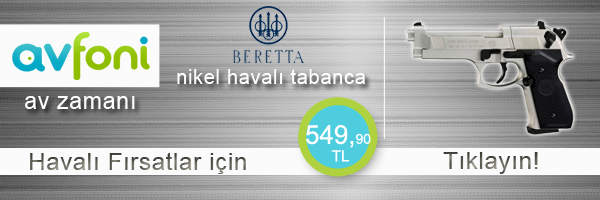 beretta