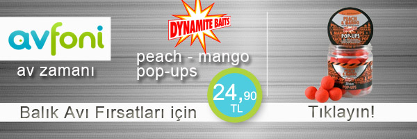 dynamite