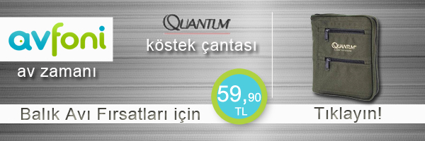 köstek