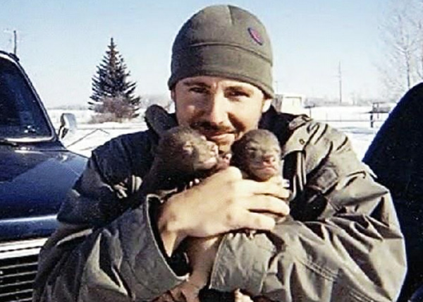 bears