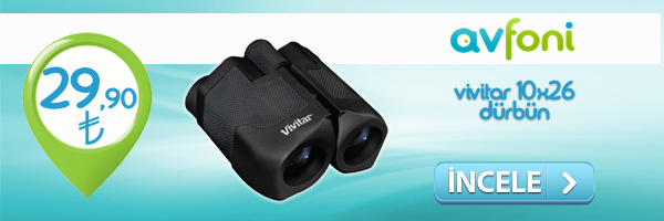 vivitar